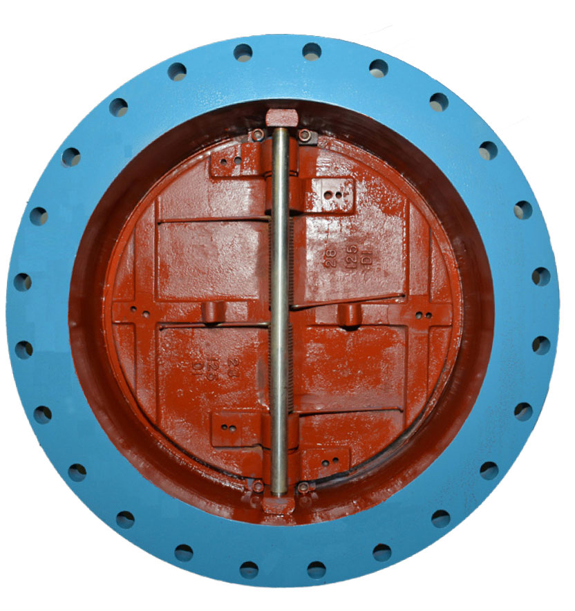 Cast Iron Dual Flanged End Retainerless Design Plate Check Valves